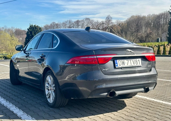 Jaguar XF cena 80000 przebieg: 115509, rok produkcji 2016 z Kraków małe 704